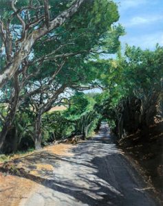 Narrow paved road lined by trees