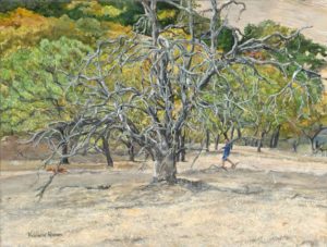 man walking dog in oak woodland