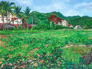 Taiwan village with field in foreground and green mountains in distance