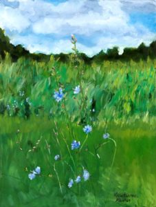 green field with small blue flowers