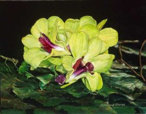 green and purple orchid with black background