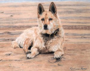 dog on beach facing forward attentively