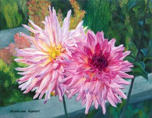 two pink and white dahlias