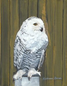 white and gray snowy owl perched on pillar