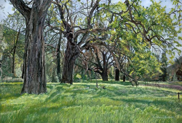 Grassy green meadow with oaks in a row